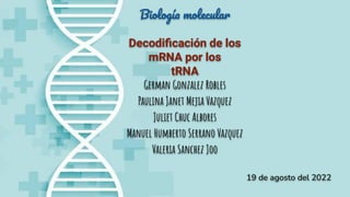 Biologí molecula
Decodiﬁcación de los
mRNA por los
tRNA
German Gonzalez Robles
Paulina Janet Mejia Vazquez
Juliet Chuc Albores
Manuel Humberto Serrano Vazquez
Valeria Sanchez Joo
19 de agosto del 2022
 