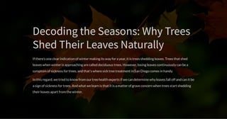 DecodingtheSeasons:WhyTrees
ShedTheirLeavesNaturally
If there’s oneclear indication of winter making its way for a year, it is trees shedding leaves. Trees that shed
leaves when winter is approaching arecalled deciduous trees. However, losing leaves continuously can bea
symptom of sickness for trees, and that’s wheresicktreetreatment in San Diego comes in handy.
In this regard, wetried to know from our treehealth experts if wecan determinewhy leaves fall off and can it be
a sign of sickness for trees. And what welearn is that it is a matter of graveconcern when trees start shedding
their leaves apart from thewinter.
 