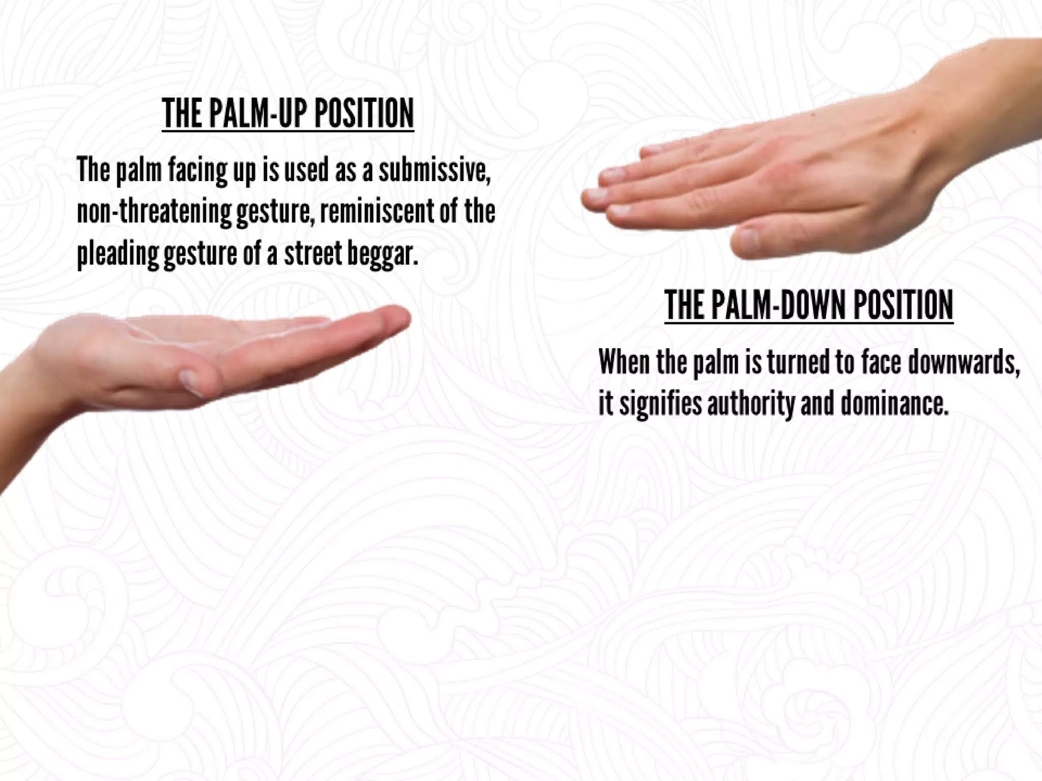 Decoding Body Language