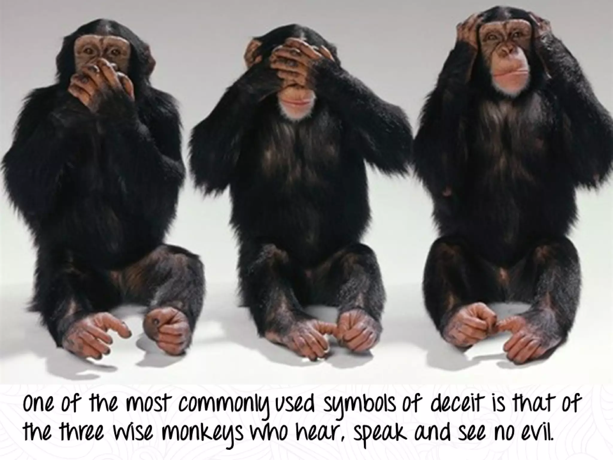 Decoding Body Language