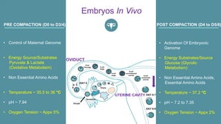 Embryo Compaction Decoding Embryo Culture | PPTX