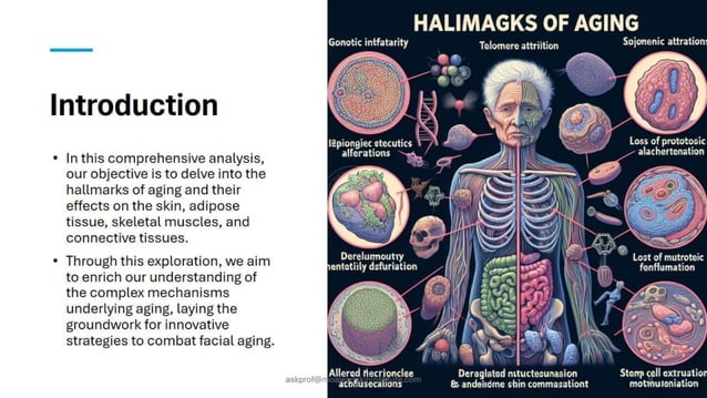 Decoding Facial Aging. An In-Depth Exploration of Aging Hallmarks.pptx