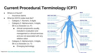Current Procedural Terminology (CPT)
● Where is it found?
○ Insurance claims
● What do ICD10 codes look like?
○ Category 1: Numeric, 5-digits
○ Category 2: Alphanumeric, 4-digits,
5th is a character (i.e. F)
■ clinical components usually
included in evaluation and
management or clinical services
and are not associated with any
relative value
○ Category 3: Alphanumeric, 4-digits,
5th is a character (i.e. T)
■ Emerging technology
Image source: https://www.mtnmedical.com/physician/cpt-codes-mri.php
 