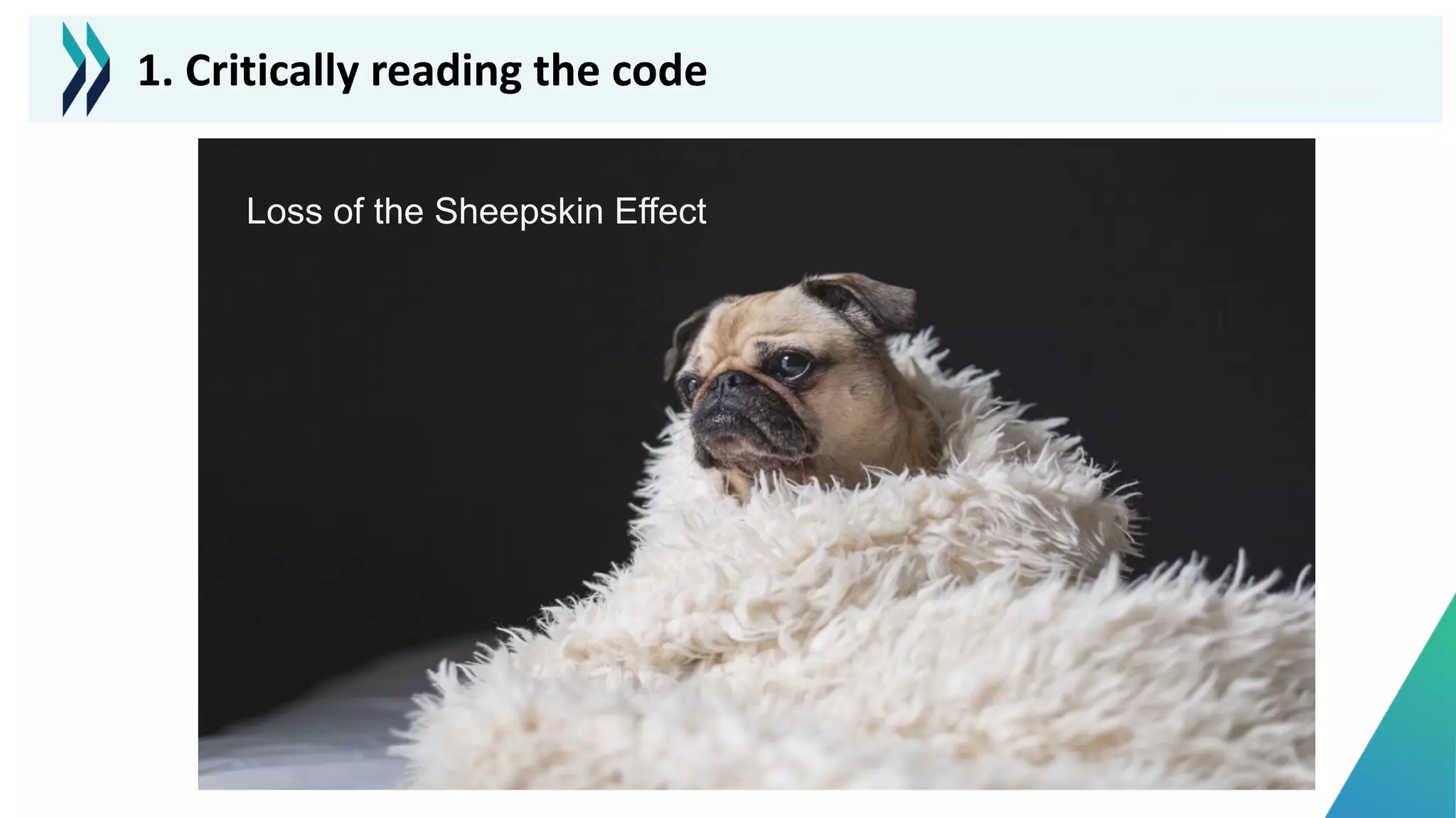 Photo by Matthew Henry on Unsplash
Loss of the Sheepskin Effect
1. Critically reading the code
 