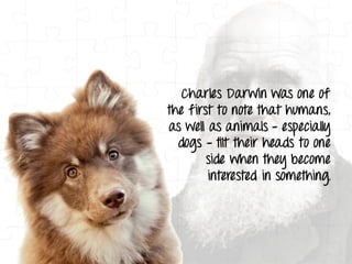 Decoding More Body Language