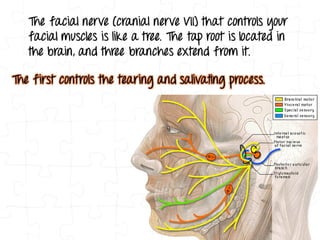 Decoding More Body Language