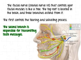 Decoding More Body Language