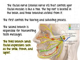 Decoding More Body Language