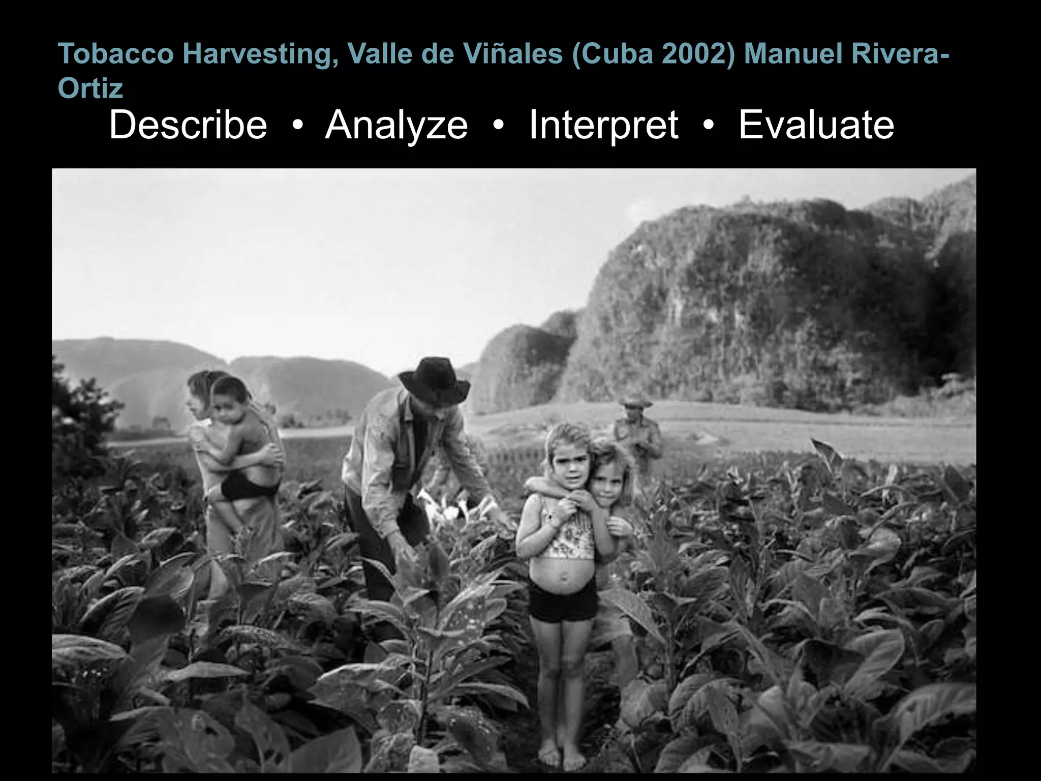 Tobacco Harvesting, Valle de Viñales (Cuba 2002) Manuel Rivera-
Ortiz
   Describe • Analyze • Interpret • Evaluate
 