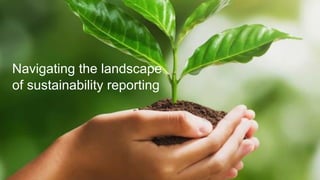 Navigating the landscape
of sustainability reporting
 
