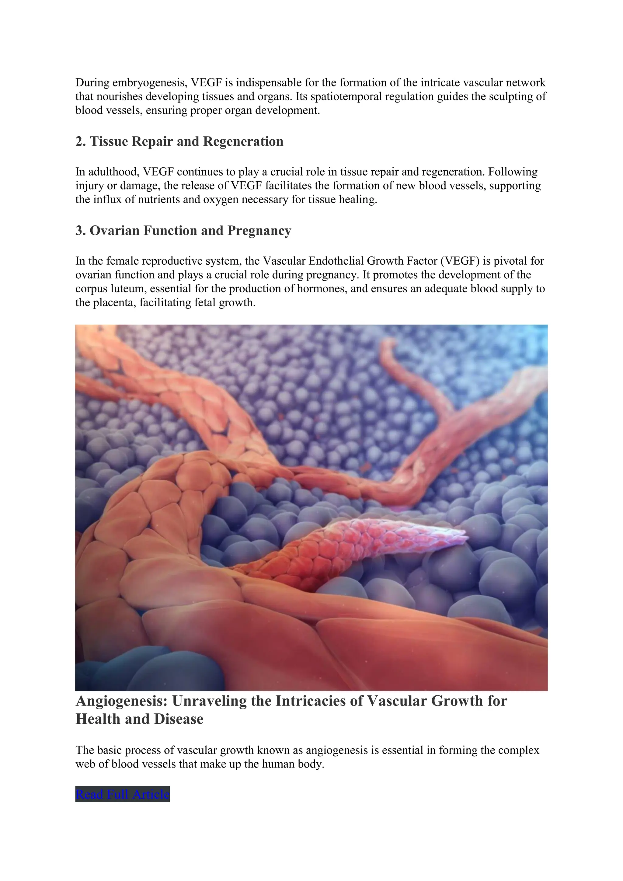 Vascular Endothelial Growth Factor (VEGF): Role, Family, Disease ...