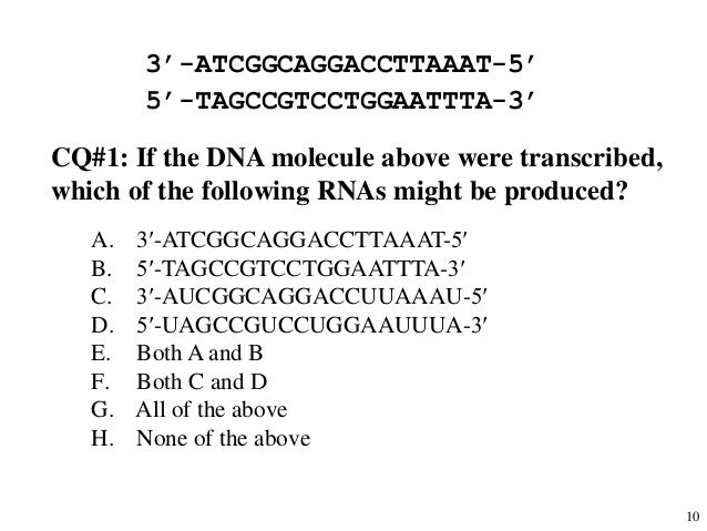 How is the ha protein produced by the new flu virus different from a typical flu virus? picture