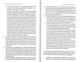 Decolando nas asas do louvor