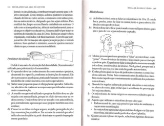 Decolando nas asas do louvor