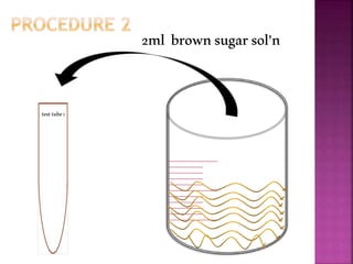 2ml brownsugarsol’n
testtube1
 
