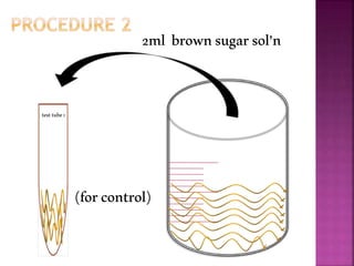2ml brownsugarsol’n
(forcontrol)
testtube1
 