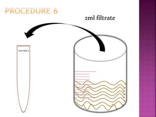2mlfiltrate
testtube3
 