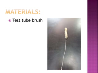  Test tube brush
 