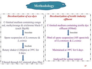 Methodology
67
Decolourization of azo dyes
C-limited medium containing congo
red, methylorange & erichrome black-T
(each 5...