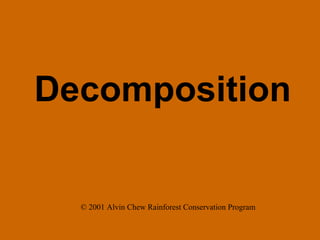 Decomposition © 2001 Alvin Chew Rainforest Conservation Program 