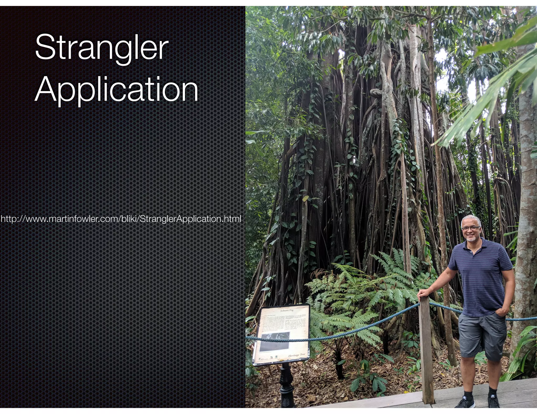@crichardson Strangler Application http://www.martinfowler.com/bliki/StranglerApplication.html 