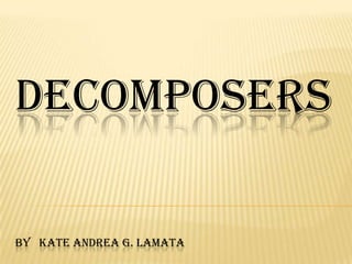 DECOMPOSERS

BY KATE ANDREA G. LAMATA
 