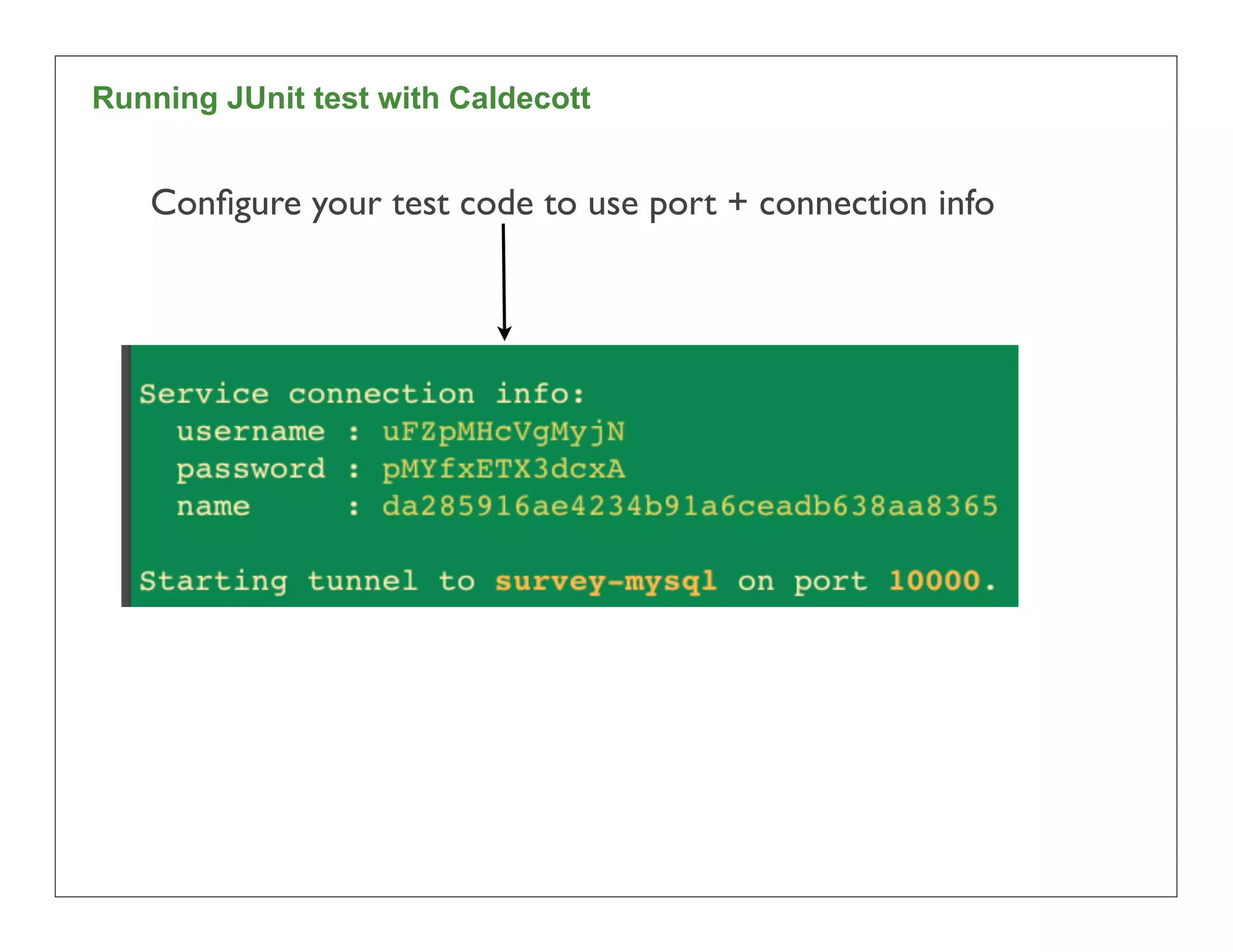 Running JUnit test with Caldecott


   Conﬁgure your test code to use port + connection info




                                                           90
 
