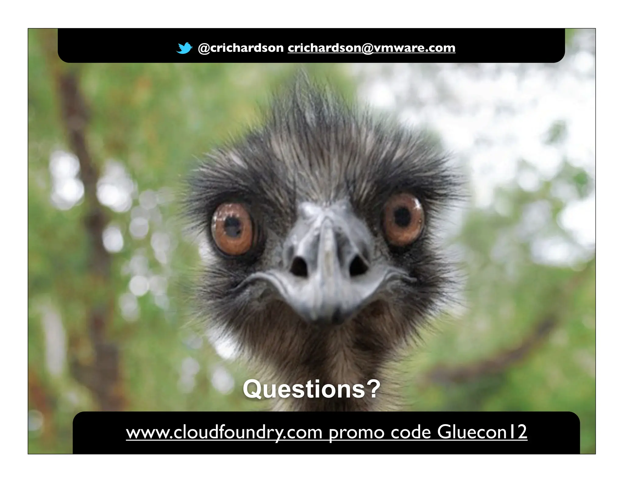 @crichardson crichardson@vmware.com




             Questions?
www.cloudfoundry.com promo code Gluecon12
 