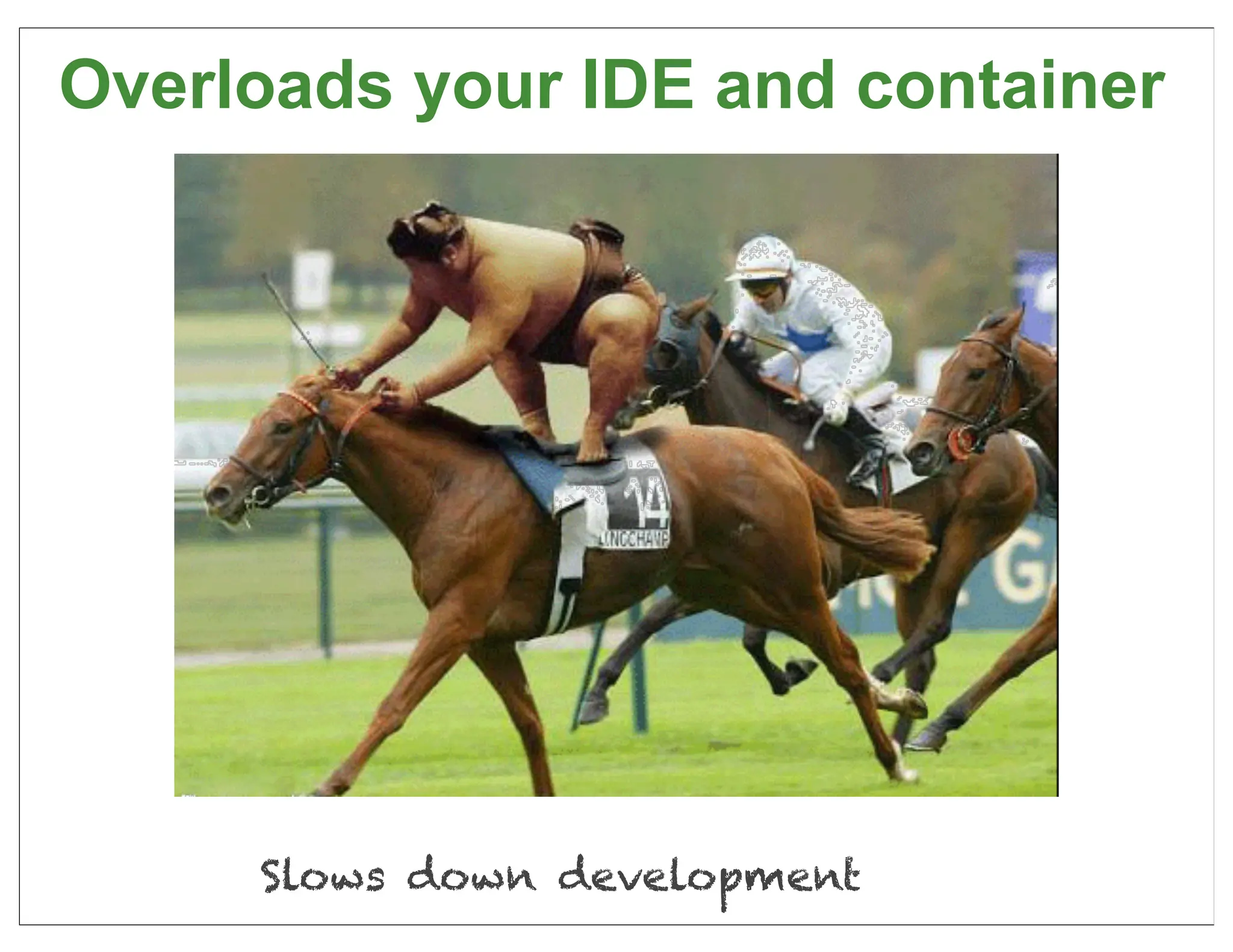 Overloads your IDE and container




     Slows down development    15
 