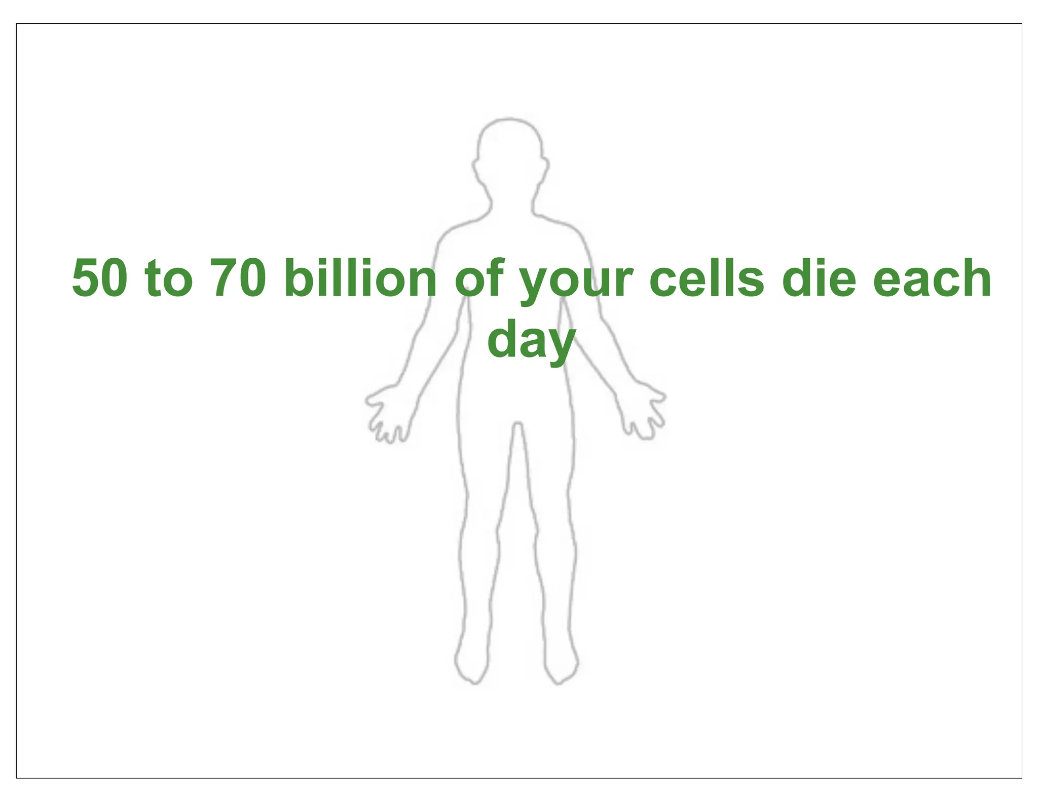 50 to 70 billion of your cells die each
                  day




                                      35
 