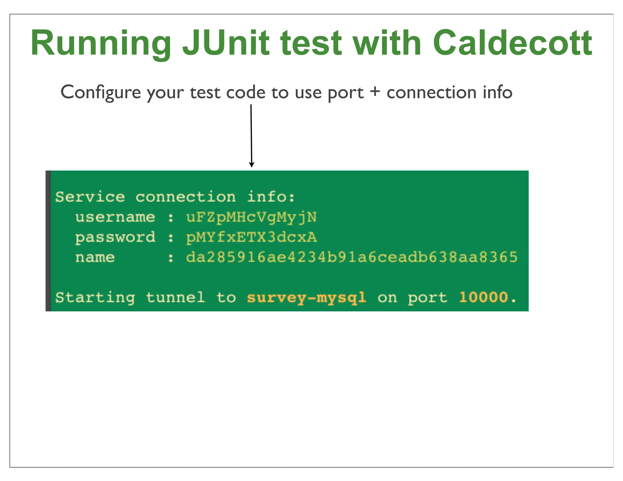 Running JUnit test with Caldecott
 Conﬁgure your test code to use port + connection info




                                                         76
 