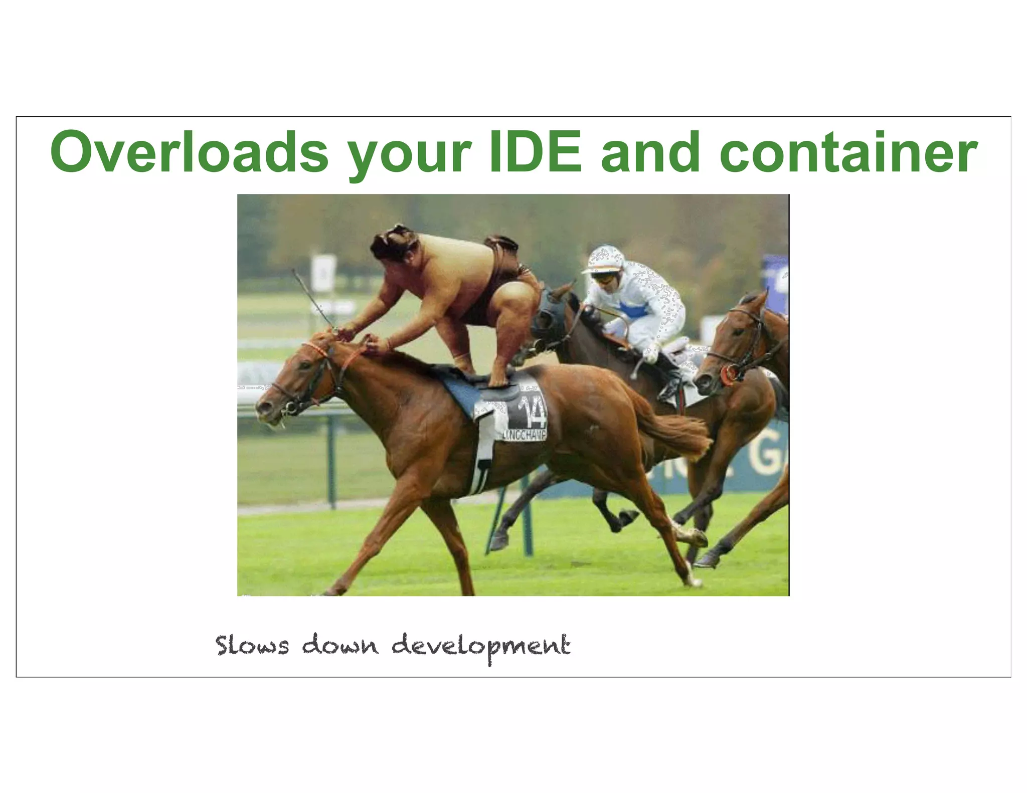 Overloads your IDE and container




     Slows down development    16
 