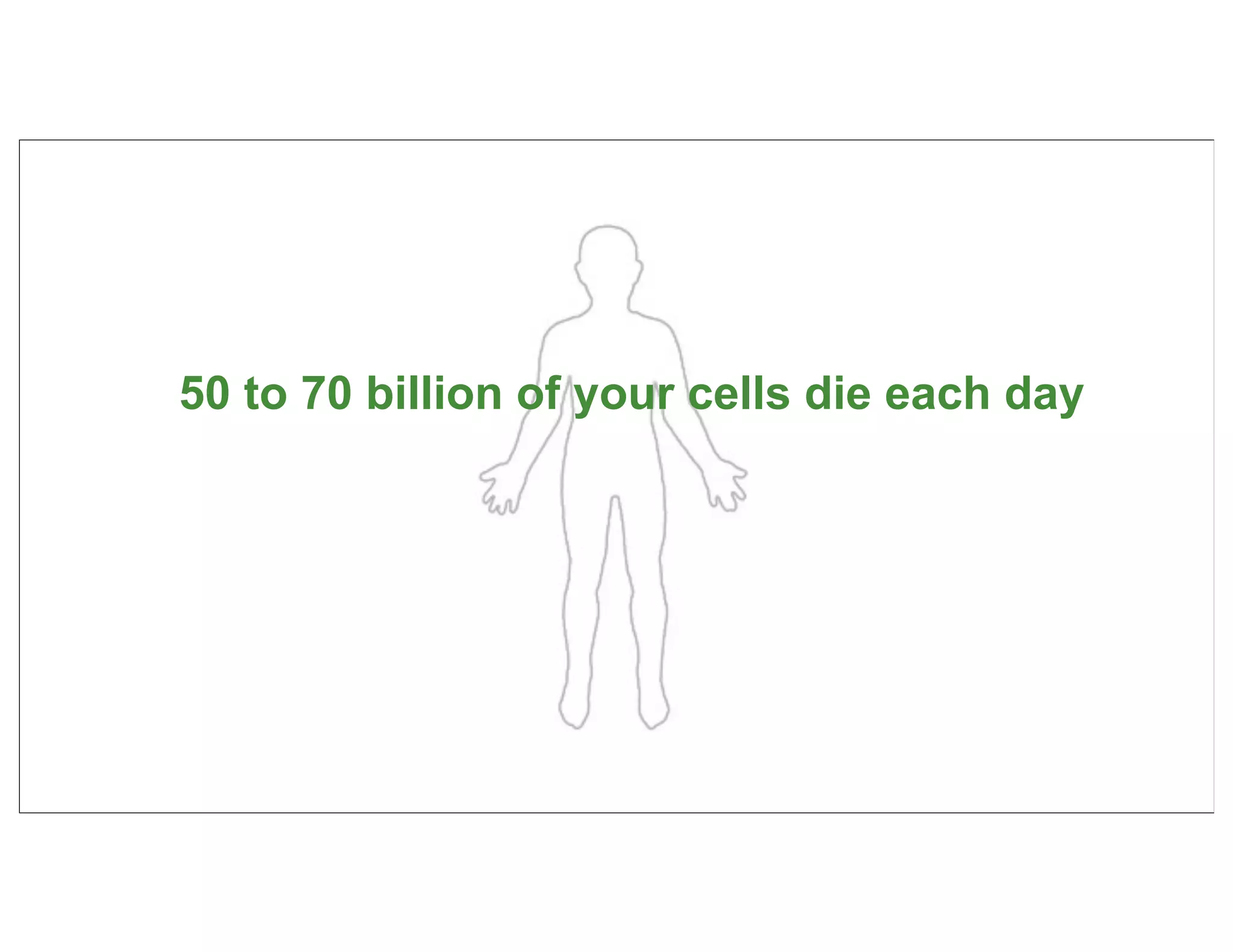 50 to 70 billion of your cells die each day




                                              36
 