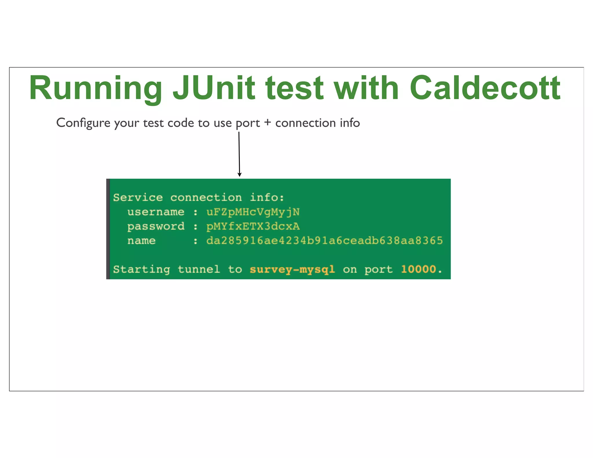 Running JUnit test with Caldecott
 Conﬁgure your test code to use port + connection info




                                                         88
 