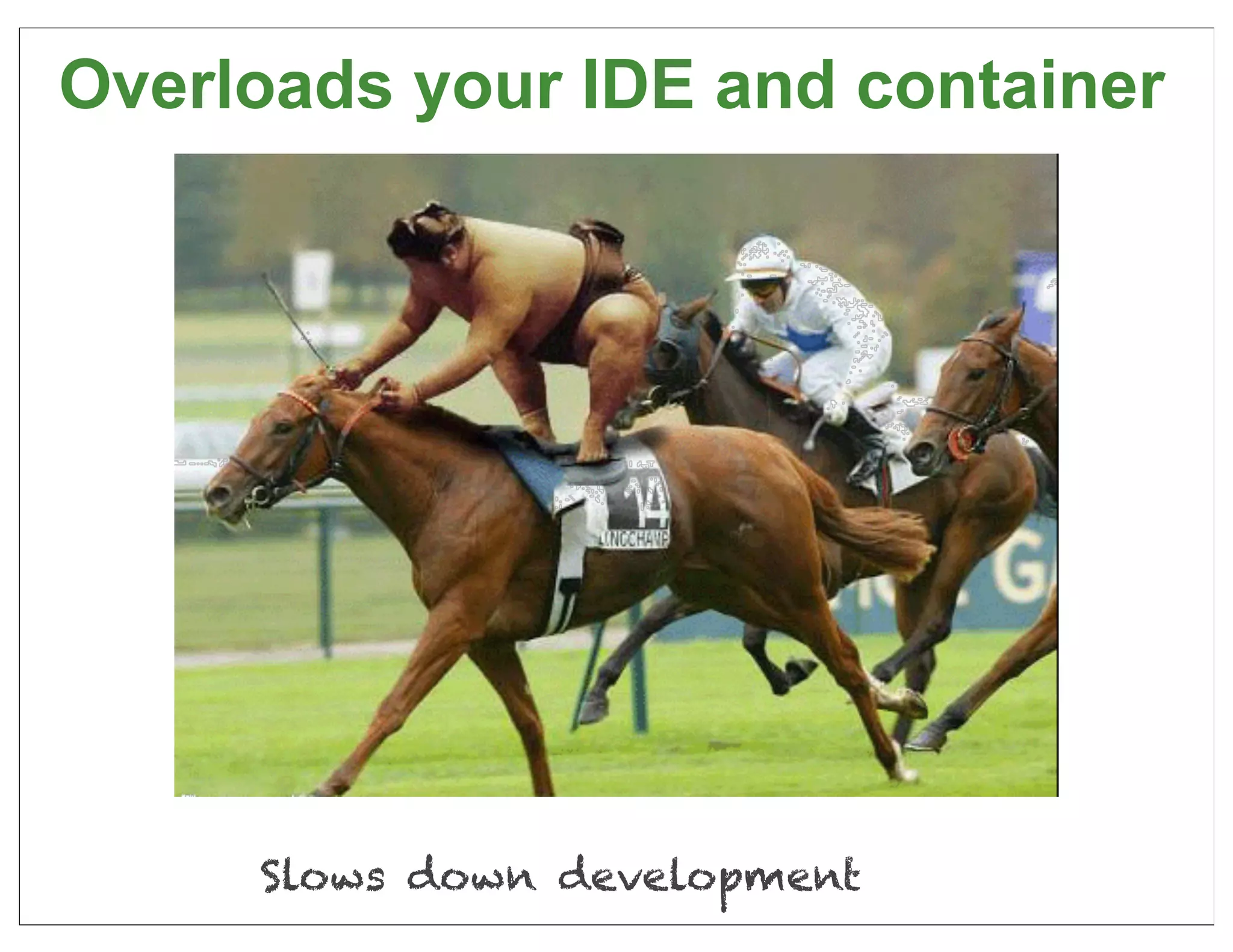 Overloads your IDE and container




     Slows down development    16
 