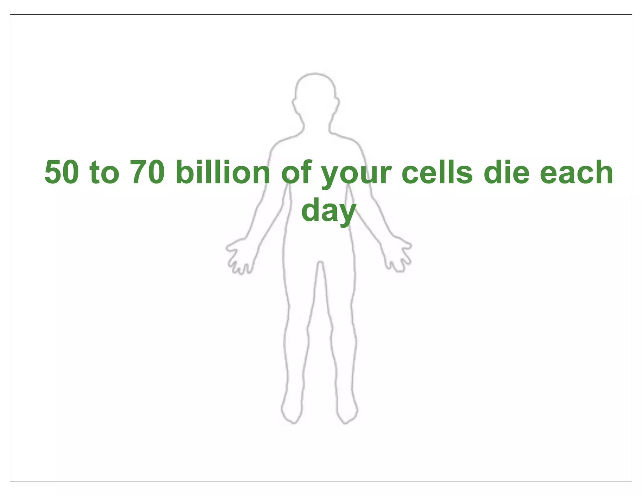 50 to 70 billion of your cells die each
                  day




                                      36
 