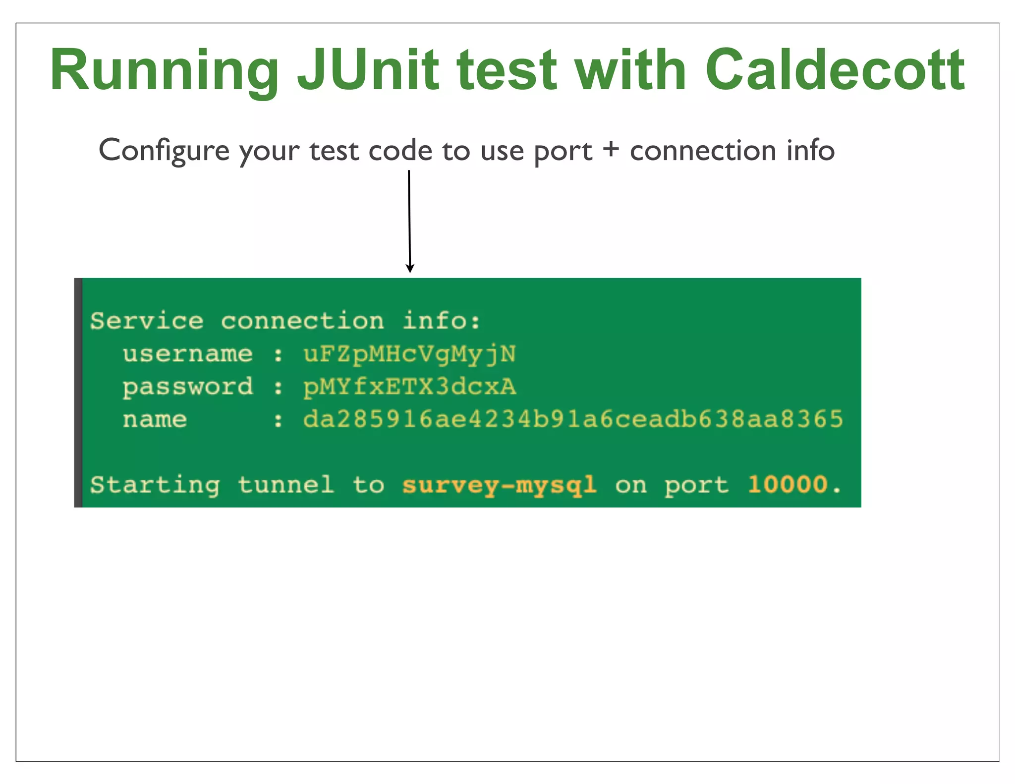 Running JUnit test with Caldecott
 Conﬁgure your test code to use port + connection info




                                                         83
 
