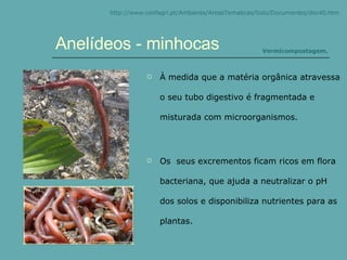 À medida que a matéria orgânica atravessa o seu tubo digestivo é fragmentada e misturada com microorganismos. Os  seus excrementos ficam ricos em flora bacteriana, que ajuda a neutralizar o pH dos solos e disponibiliza nutrientes para as plantas.  Anelídeos - minhocas http://www.confagri.pt/Ambiente/AreasTematicas/Solo/Documentos/doc40.htm Vermicompostagem . 