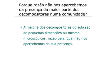 Porque razão não nos apercebemos da presença da maior parte dos decompositores numa comunidade? A maioria dos decompositores do solo são de pequenas dimensões ou mesmo microscópicos, razão pela, qual não nos apercebemos da sua presença. 