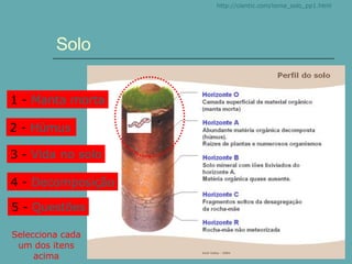 Solo http:// cientic.com /tema_solo_pp1.html 3 -  Vida no solo 1 -  Manta morta 2 -  Húmus 4 -  Decomposição Selecciona cada um dos itens acima 5 -  Questões 