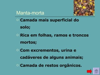 Manta-morta Camada mais superficial do solo; Rica em folhas, ramos e troncos mortos; Com excrementos, urina e cadáveres de alguns animais; Camada de restos orgânicos. 