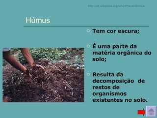 Húmus Tem cor escura; É uma parte da matéria orgânica do solo; Resulta da decomposição  de restos de organismos existentes no solo. http:// pt.wikipedia.org / wiki /H%C3%BAmus 
