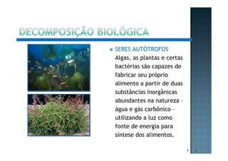SERES AUTÓTROFOS
Algas, as plantas e certas
bactérias são capazes de
fabricar seu próprio
alimento a partir de duas
substâncias inorgânicas
abundantes na natureza –
água e gás carbônico –
utilizando a luz como
fonte de energia para
síntese dos alimentos.
2 2
 