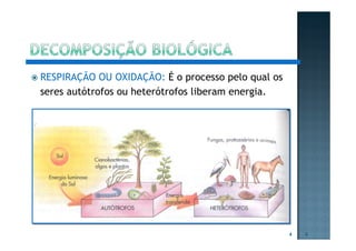 RESPIRAÇÃO OU OXIDAÇÃO: É o processo pelo qual os
seres autótrofos ou heterótrofos liberam energia.
4 4
 