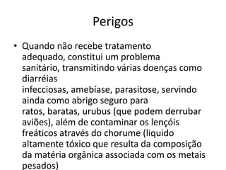 PerigosQuando não recebe tratamento adequado, constitui um problema sanitário, transmitindo várias doenças como diarréias infecciosas, amebíase, parasitose, servindo ainda como abrigo seguro para ratos, baratas, urubus (que podem derrubar aviões), além de contaminar os lençóis freáticos através do chorume (liquido altamente tóxico que resulta da composição da matéria orgânica associada com os metais pesados) 