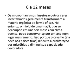 6 a 12 mesesOs microorganismos, insetos e outros seres invertebrados geralmente transformam a matéria orgânica de forma eficaz. No entanto, o miolo de uma maçã, que se decompõe em uns seis meses em clima quente, pode conservar-se por um ano num lugar mais ameno. Isso porque o orvalho (e a neve nos países frios) dificulta a proliferação dos micróbios e diminui sua capacidade devoradora.
