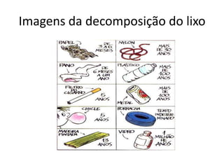 Imagens da decomposição do lixo