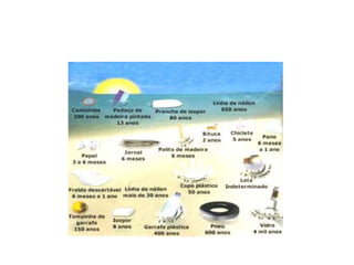 Decomposição do lixo