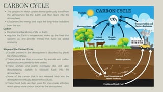 CARBON CYCLE
The process in which carbon atoms continually travel from
the atmosphere to the Earth and then back into the
atmosphere.
It balances the energy and traps the long-wave radiations
from the sun.
Carbon
the chemical backbone of life on Earth
regulate the Earth’s temperature, make up the food that
sustains us, and provide energy that fuels our global
economy
Stages of the Carbon Cycle:
Carbon present in the atmosphere is absorbed by plants
for photosynthesis.
1.
These plants are then consumed by animals and carbon
gets bioaccumulated into their bodies.
2.
These animals and plants eventually die, and upon
decomposing, carbon is released back into the
atmosphere.
3.
Some of the carbon that is not released back into the
atmosphere eventually become fossil fuels.
4.
These fossil fuels are then used for man-made activities,
which pump more carbon back into the atmosphere.
5.
 