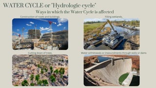 WATER CYCLE or "Hydrologic cycle"
Construction of roads and buildings.
Cutting down of trees. Water withdrawals or impoundments through wells or dams
Filling wetlands,
Ways in which the Water Cycle is affected
 